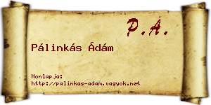 Pálinkás Ádám névjegykártya